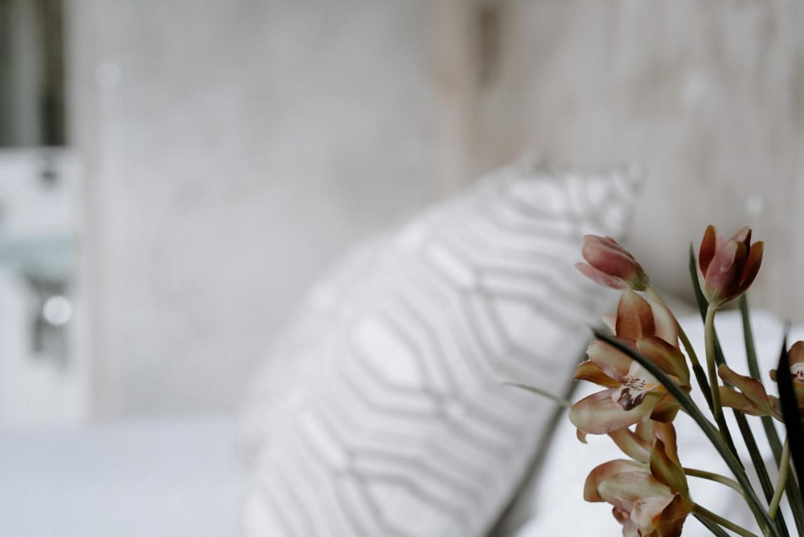 Ideal Sejour Cannes - Stylish Boutique Hotel With Quiet Garden Kültér fotó